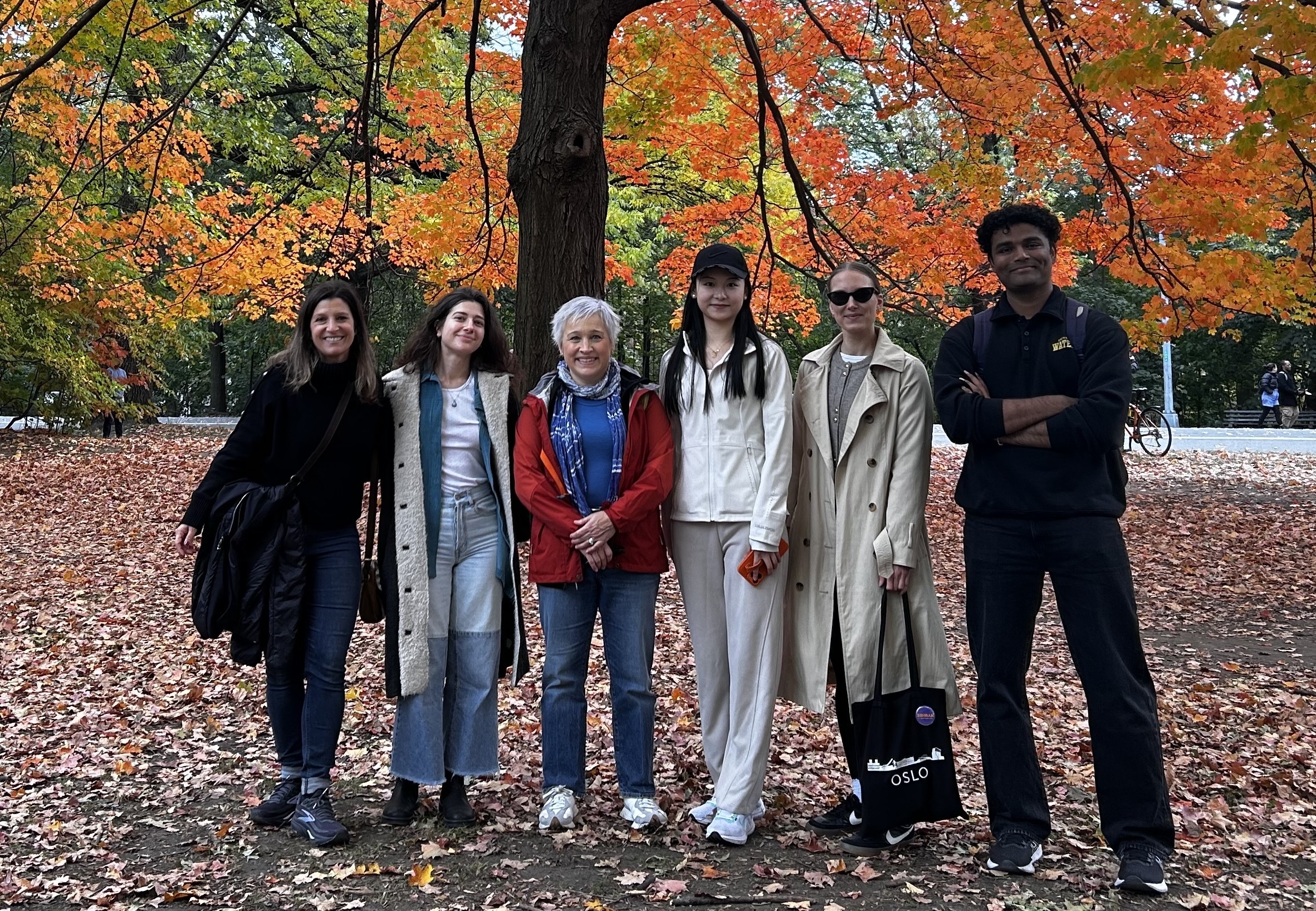 McKinley Group, Fall 2025 